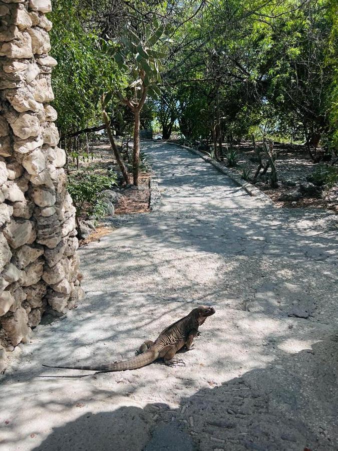 Lago Enriquillo Resort Cerro Al Medio Eksteriør bilde